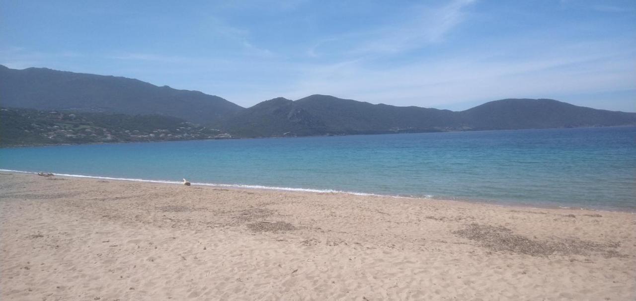 Maison De 4 Chambres De Front De Mer Corse-Du-Sud Appietto Esterno foto