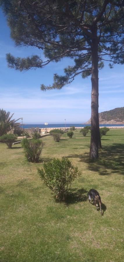 Maison De 4 Chambres De Front De Mer Corse-Du-Sud Appietto Esterno foto